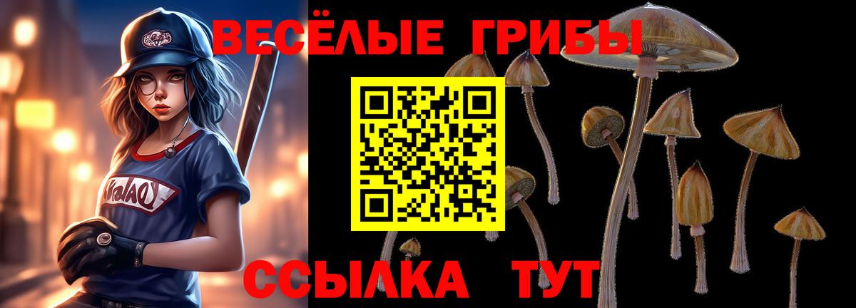 Лениногорск  Галлюциногенные грибы MAGIC MUSHROOMS  Вход с VPN 